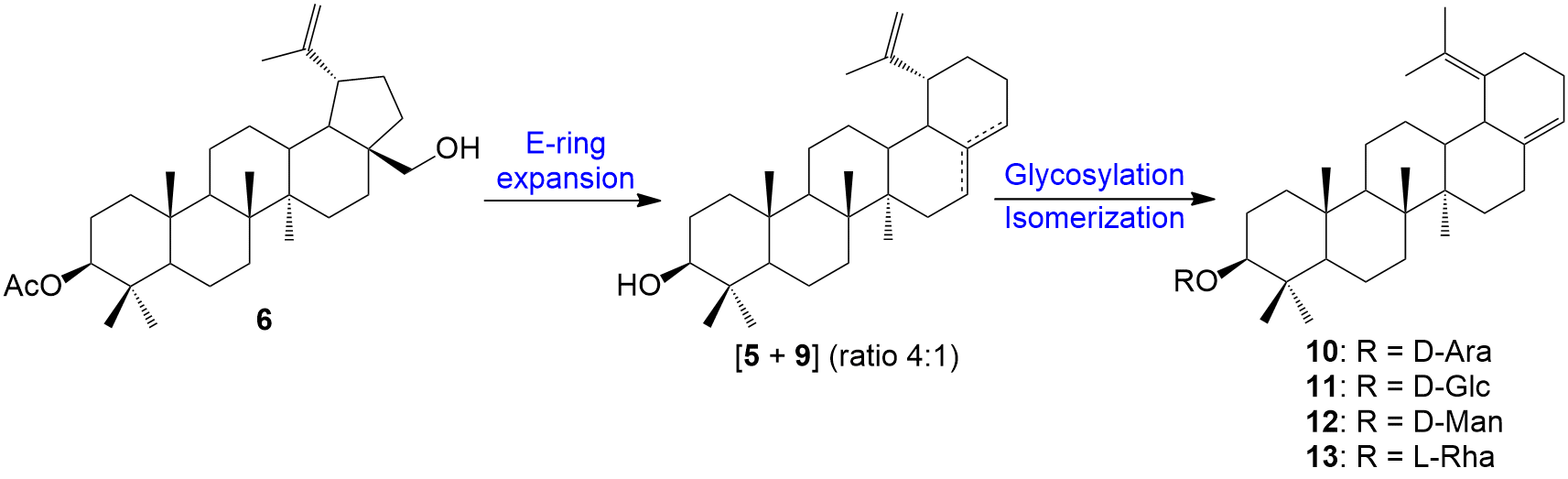 Graphical Abstract