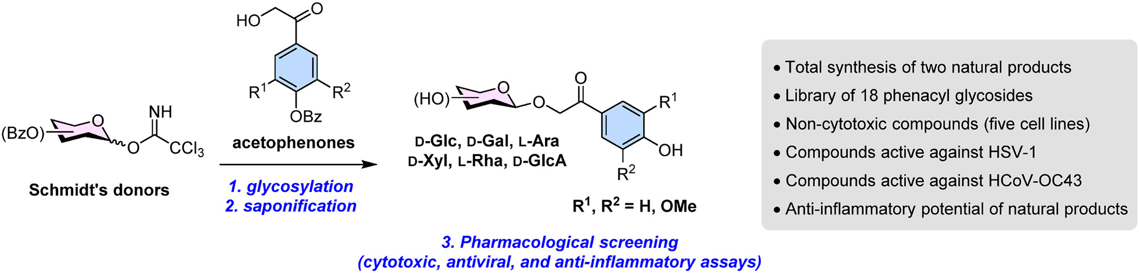 Carbohydr_Res_2024