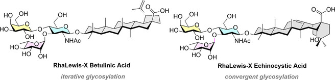 Eur_J_Org_Chem_2025